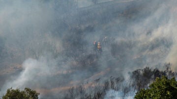 Humo en un incendio forestal