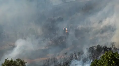 Humo en un incendio forestal Humo en un incendio forestal