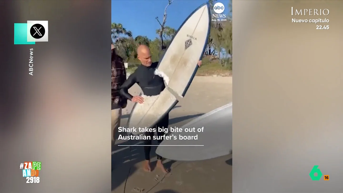 Un surfista sale ileso del ataque de un tiburón en Australia: "A ver si va a ser vegano..." Un hombre surfeaba en Cabarita Beach cuando se veía sorprendido por el ataque de un escualo. El animal, a pesar de que no ha conseguido hincarle el diente al surfista, sí que se ha llevado un trozo de su tabla.