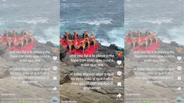 video viral en TikTok