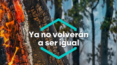 Incendios Incendios