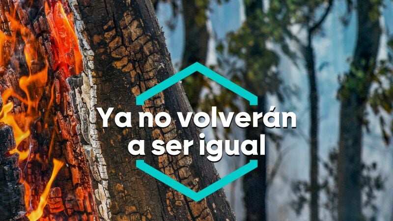 Incendios