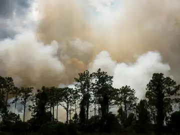 Humo en un incendio Humo en un incendio