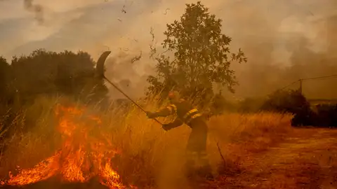 Un voluntario lucha contra el fuego este martes en el incendio de Oimbra, Ourense. Un voluntario lucha contra el fuego este martes en el incendio de Oimbra, Ourense.