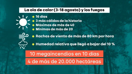 Duraderos, impredecibles y más virulentos que nunca: así son los incendios que están asolando España Duraderos, impredecibles y más virulentos que nunca: así son los incendios que están asolando España