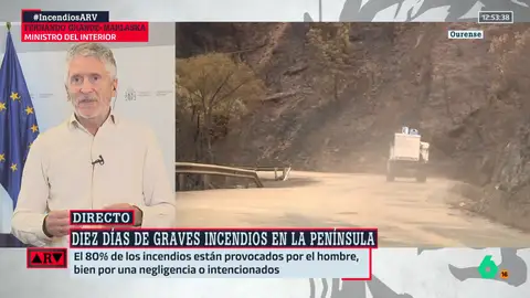 Fernando Grande-Marlaska, ministro del Interior, en Al Rojo Vivo Fernando Grande-Marlaska, ministro del Interior, en Al Rojo Vivo
