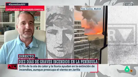 Víctor Resco, catedrático de Ingeniería Forestal: "Las fuentes oficiales han estado más preocupadas en desinformar que en decir la verdad" Víctor Resco, catedrático de Ingeniería Forestal: "Las fuentes oficiales han estado más preocupadas en desinformar que en decir la verdad"