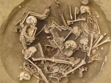 Restos neolíticos revelan la brutalidad contra prisioneros de guerra Restos neolíticos revelan la brutalidad contra prisioneros de guerra