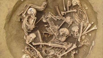 Restos neolíticos revelan la brutalidad contra prisioneros de guerra