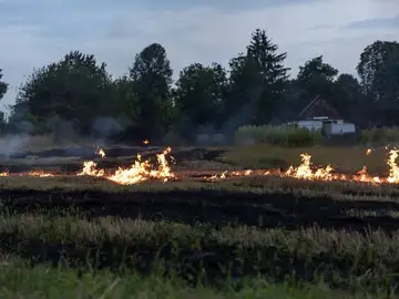 Incendio forestal Incendio forestal