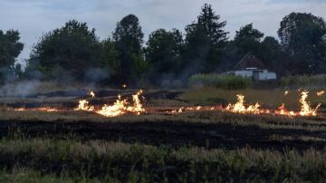 Incendio forestal