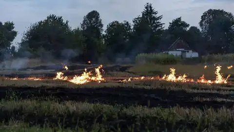 Incendio forestal Incendio forestal
