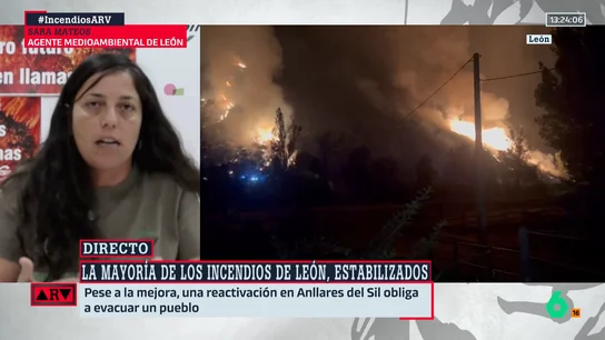 Sara Mateos, agente medioambiental de León: "El operativo estaba precarizado, habían eliminado puestos de vigilancia y había camiones inoperativos" Sara Mateos, agente medioambiental de León: "El operativo estaba precarizado, habían eliminado puestos de vigilancia y había camiones inoperativos"