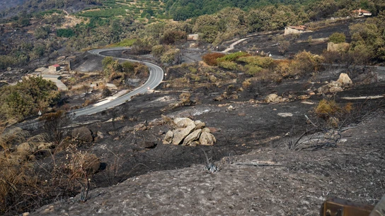 Áreas calcinadas en la localidad cacereña de Cabezabellosa por el incendio de Jarilla (Cáceres) Áreas calcinadas en la localidad cacereña de Cabezabellosa por el incendio de Jarilla (Cáceres)