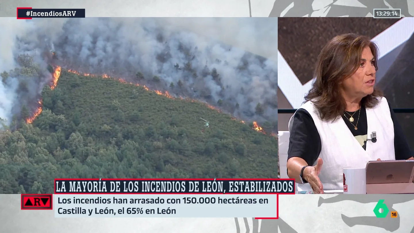 Lucía Méndez, sobre los incendios en Castilla y León: "Si no se habla de un plan concreto para combatir la despoblación, no se podrán evitar estos incendios" Lucía Méndez, sobre los incendios en Castilla y León: "Si no se habla de un plan concreto para combatir la despoblación, no se podrán evitar estos incendios"