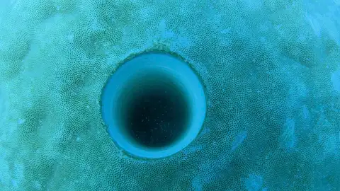 Agujero de perforación de coral submarino australiano Agujero de perforación de coral submarino australiano