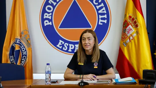 Virginia Barcones, directora general de Protección Civil y Emergencias. Virginia Barcones, directora general de Protección Civil y Emergencias.
