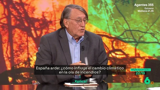 Joaquín Araujo, sobre las causas de los incendios: "Antes que el bosque se ha quemado a la cultura rural hasta su extinción" Joaquín Araujo, sobre las causas de los incendios: "Antes que el bosque se ha quemado a la cultura rural hasta su extinción"