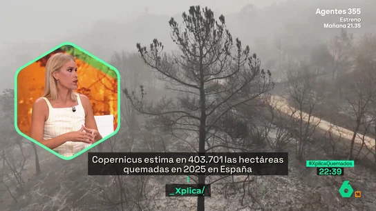 Afra Blanco: "Castilla y León ha recortado un 90% en prevención de incendios en los últimos 13 años" Afra Blanco: "Castilla y León ha recortado un 90% en prevención de incendios en los últimos 13 años"