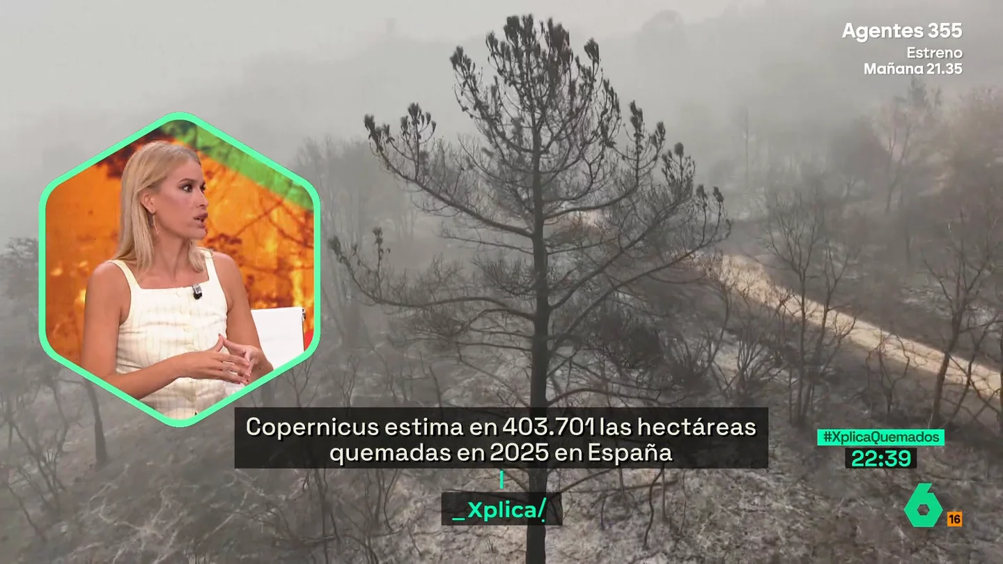 Afra Blanco: "Castilla y León ha recortado un 90% en prevención de incendios en los últimos 13 años" Afra Blanco: "Castilla y León ha recortado un 90% en prevención de incendios en los últimos 13 años"