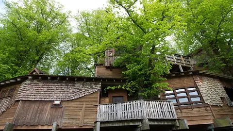 Castillo de Alnwick. Treehouse Castillo de Alnwick. Treehouse