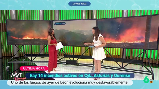 Joanna Ivars avisa sobre los peligros de la ceniza después de los incendios: "También es contaminación y nos puede afectar" Joanna Ivars explica en este vídeo los peligros que supone para personas y animales las cenizas que dejan los incendios, desde la contaminación del agua o los acuíferos, hasta las emisiones de carbono a la atmósfera.