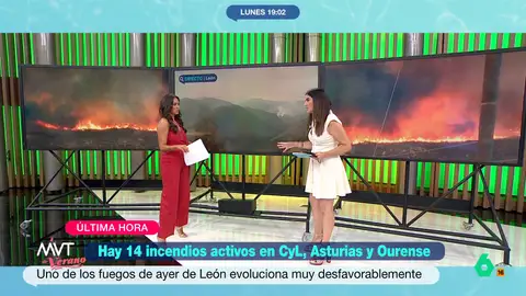 Joanna Ivars avisa sobre los peligros de la ceniza después de los incendios: "También es contaminación y nos puede afectar" Joanna Ivars explica en este vídeo los peligros que supone para personas y animales las cenizas que dejan los incendios, desde la contaminación del agua o los acuíferos, hasta las emisiones de carbono a la atmósfera.