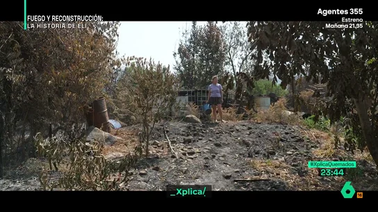 Una vecina de Jarilla se rompe al mostrar los devastadores efectos del incendio: "Era nuestra fuente de ingresos" Una vecina de Jarilla se rompe al mostrar los devastadores efectos del incendio: "Era nuestra fuente de ingresos"