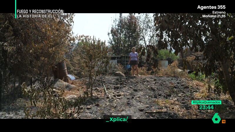 Una vecina de Jarilla se rompe al mostrar los devastadores efectos del incendio: "Era nuestra fuente de ingresos"