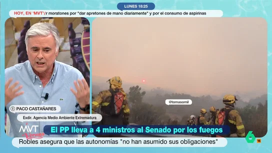 El experto forestal Paco Castañares estalla contra el PP por los incendios: "Que se entere Feijóo, no es un problema de pirómanos" El experto forestal Paco Castañares estalla contra el PP por los incendios: "Que se entere Feijóo, no es un problema de pirómanos"