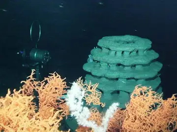 Cubierta del Sarmiento de Gamboa Cubierta del Sarmiento de Gamboa