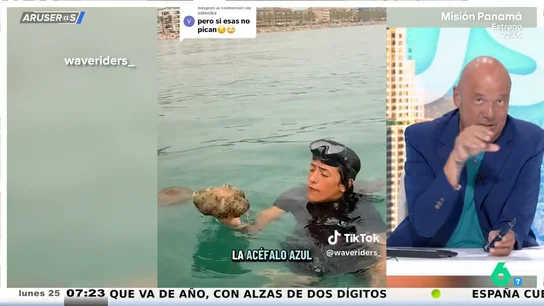 Alfonso Arús, tras el viral de la experta acuática hablando sobre las medusas 'huevo frito': "Parece que tengamos que hacerle unas reverencias" Alfonso Arús, tras el viral de la experta acuática hablando sobre las medusas 'huevo frito': "Parece que tengamos que hacerle unas reverencias"