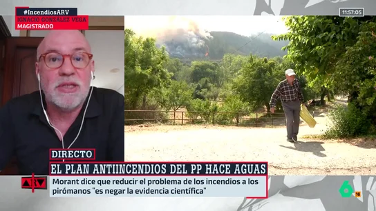 El magistrado González Vega, sobre el plan propuesto por Feijóo: "La piromanía es algo residual dentro de las causas de los incendios en estos últimos tiempos" El magistrado González Vega, sobre el plan propuesto por Feijóo: "La piromanía es algo residual dentro de las causas de los incendios en estos últimos tiempos"