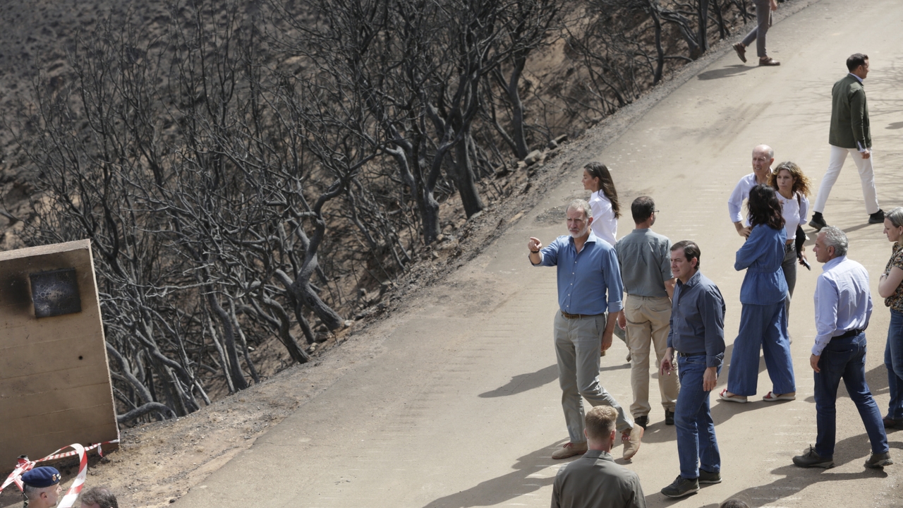 El rey Felipe VI habla con afectados por los incendios de Zamora: "Los testimonios son sobrecogedores"