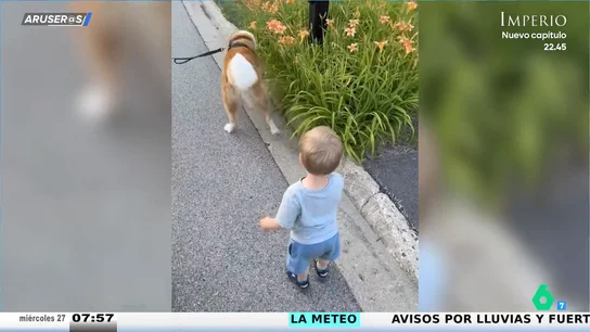El entrañable vídeo viral del bebé que imita a su perro haciendo pis: "Espero que a sus amigos no les huela el culo" El entrañable vídeo viral del bebé que imita a su perro haciendo pis: "Espero que a sus amigos no les huela el culo"