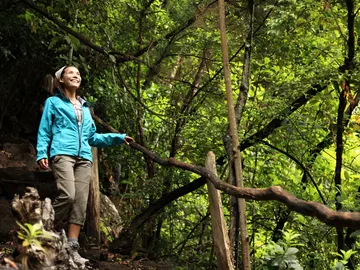 Parque de Los Tilos, de La Palma Parque de Los Tilos, de La Palma