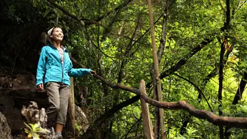 Parque de Los Tilos, de La Palma Parque de Los Tilos, de La Palma