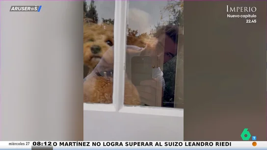 El gracioso vídeo de David Beckham con su perro por el Día Mundial del Perro El gracioso vídeo de David Beckham con su perro por el Día Mundial del Perro