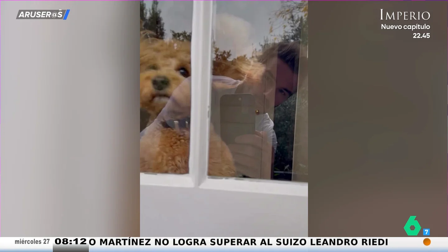 El gracioso vídeo de David Beckham con su perro por el Día Mundial del Perro El gracioso vídeo de David Beckham con su perro por el Día Mundial del Perro