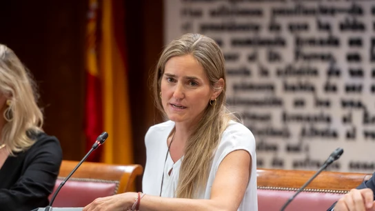 La vicepresidenta tercera y ministra de Transición Ecológica, Sara Aagesen, este miércoles en el Senado. La vicepresidenta tercera y ministra de Transición Ecológica, Sara Aagesen, este miércoles en el Senado.