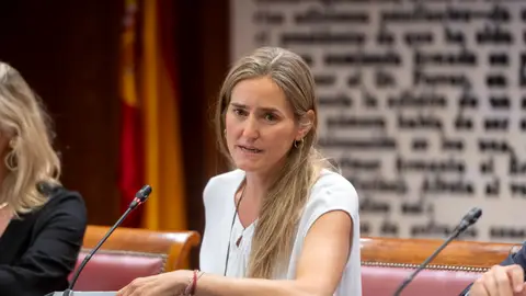 La vicepresidenta tercera y ministra de Transición Ecológica, Sara Aagesen, este miércoles en el Senado. La vicepresidenta tercera y ministra de Transición Ecológica, Sara Aagesen, este miércoles en el Senado.