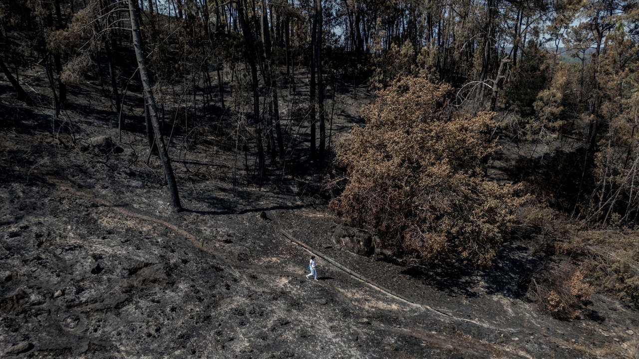 El incendio de Pena Trevinca que la Xunta no veía ha arrasado 5.000 hectáreas
