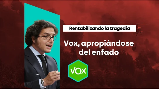 Rentabilizando la tragedia: mientras PP y PSOE se acusan por la gestión de los incendios, Vox juega su propia partida Rentabilizando la tragedia: mientras PP y PSOE se acusan por la gestión de los incendios, Vox juega su propia partida