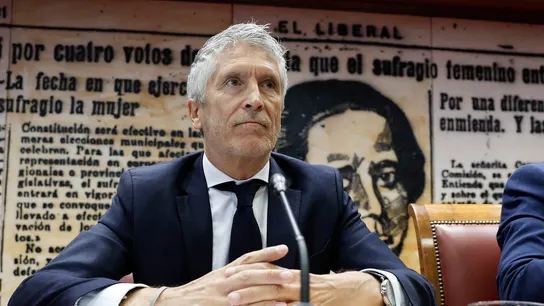 El ministro del Interior, Fernando Grande-Marlaska, comparece ante la Comisión del Senado a petición del PP El ministro del Interior, Fernando Grande-Marlaska, comparece ante la Comisión del Senado a petición del PP