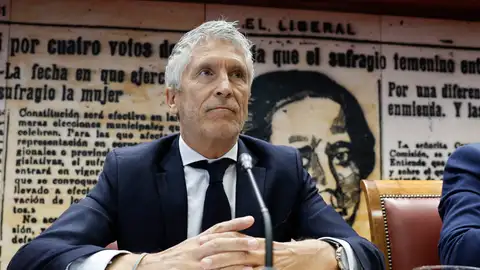 El ministro del Interior, Fernando Grande-Marlaska, comparece ante la Comisión del Senado a petición del PP El ministro del Interior, Fernando Grande-Marlaska, comparece ante la Comisión del Senado a petición del PP