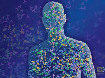 La microbiota y el cáncer gastrointestinal La microbiota y el cáncer gastrointestinal