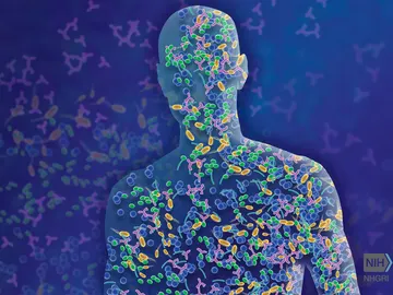 La microbiota y el cáncer gastrointestinal La microbiota y el cáncer gastrointestinal