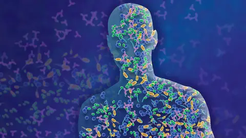 La microbiota y el cáncer gastrointestinal La microbiota y el cáncer gastrointestinal