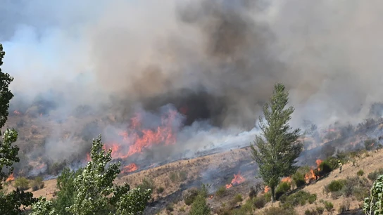 Imagen del incendio que quema Fasgar (León) a día 28 de agosto Imagen del incendio que quema Fasgar (León) a día 28 de agosto