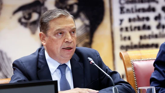 El ministro de Agricultura, Pesca y Alimentación, Luis Planas, comparece ante el Senado este viernes El ministro de Agricultura, Pesca y Alimentación, Luis Planas, comparece ante el Senado este viernes